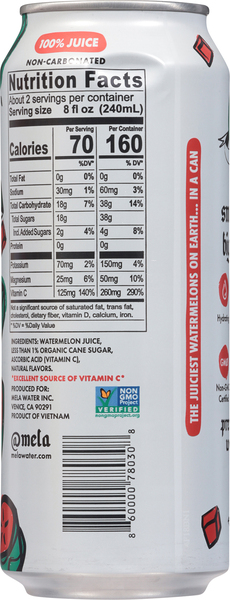 Back of Pack