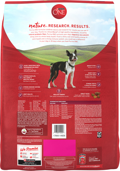 Purina ONE Natural Small Bites Beef Rice Adult Dry Dog Food 16.5 lb bag Giant