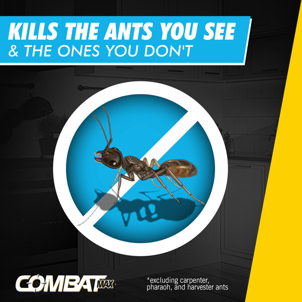 ContentPlus Image 4