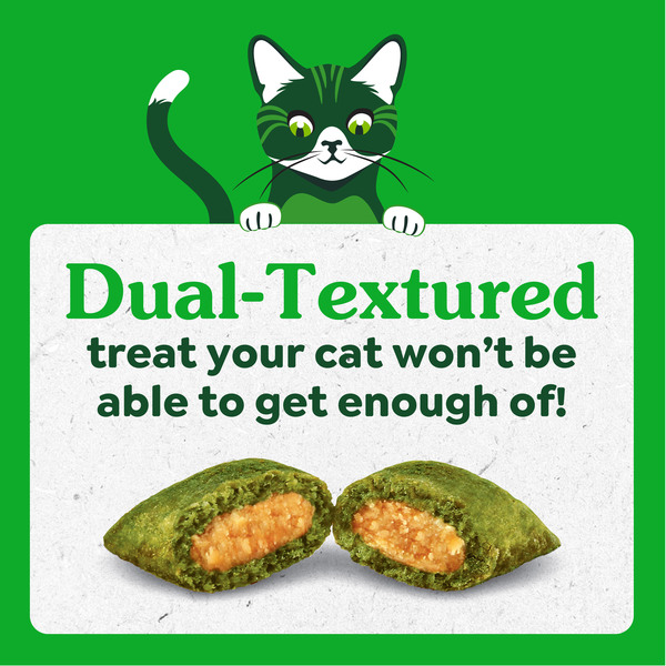 ContentPlus Image 3