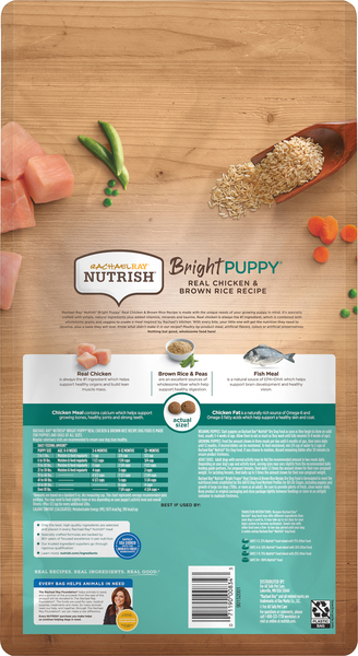 Rachael ray bright puppy 2025