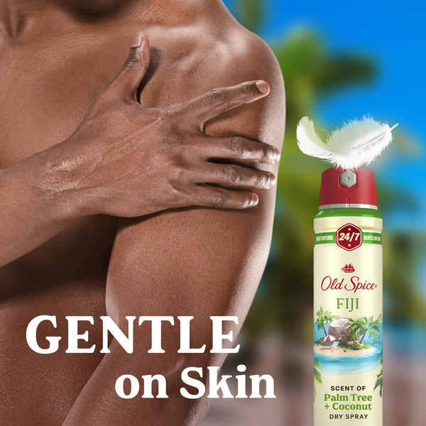 ContentPlus Image 4