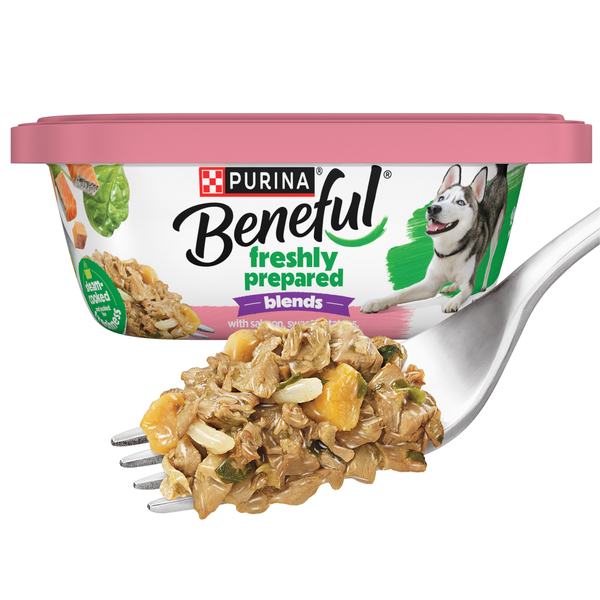 ContentPlus Image 1