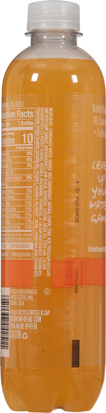Back of Pack