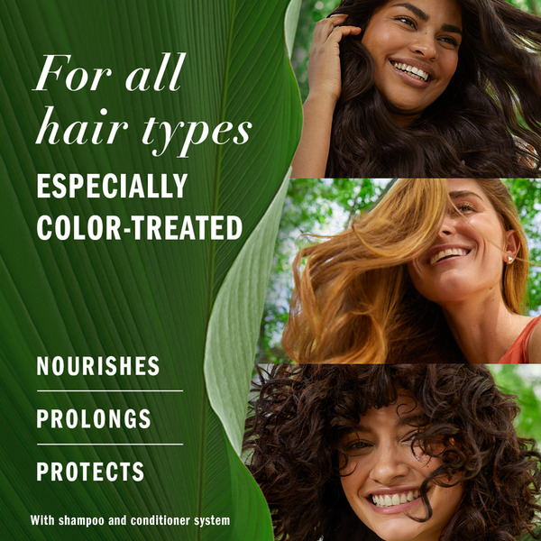 ContentPlus Image 4