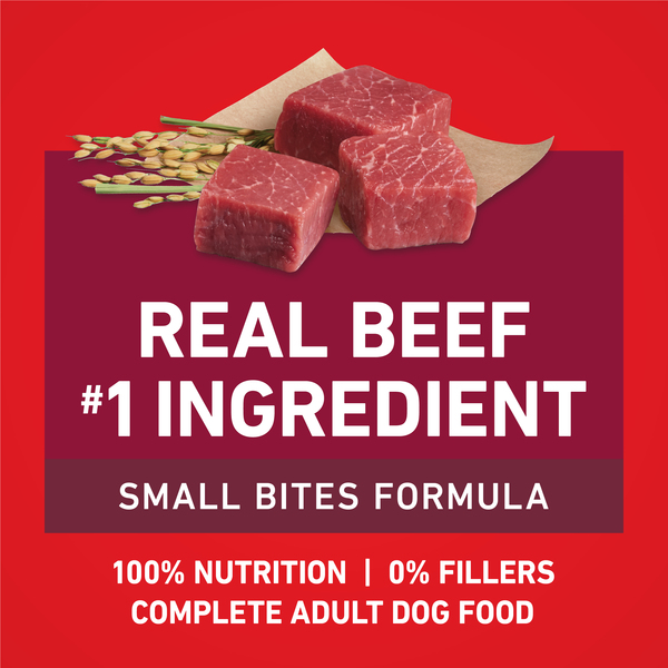 ContentPlus Image 4