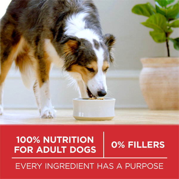 ContentPlus Image 7