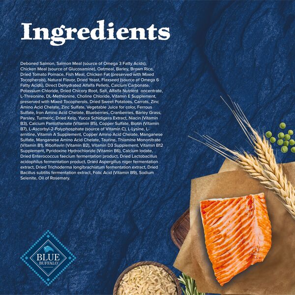 ContentPlus Image 4