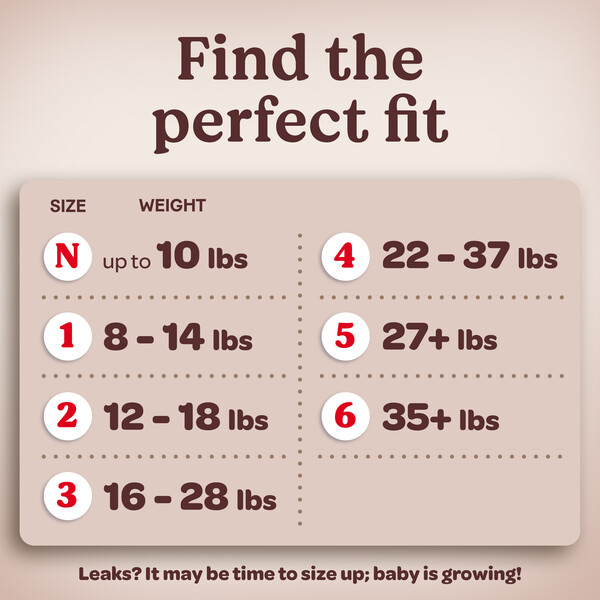ContentPlus Image 5