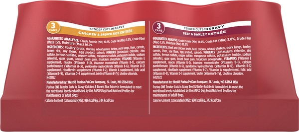 Back of Pack