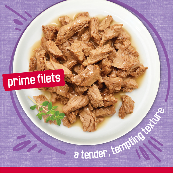 ContentPlus Image 3
