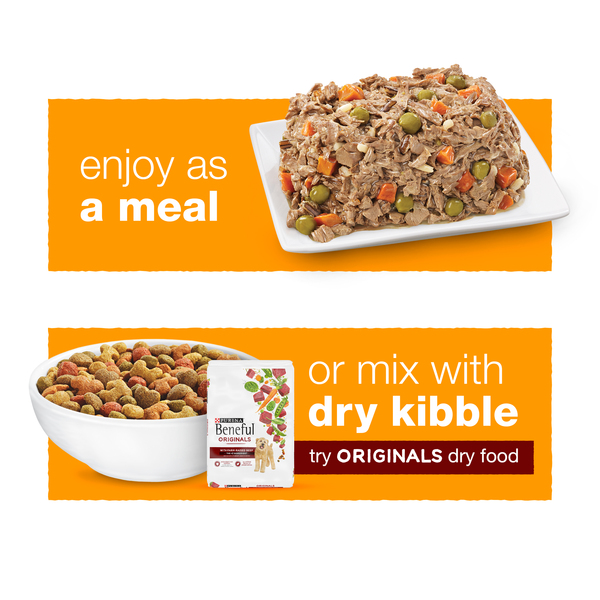 ContentPlus Image 6