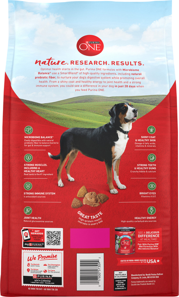 Back of Pack