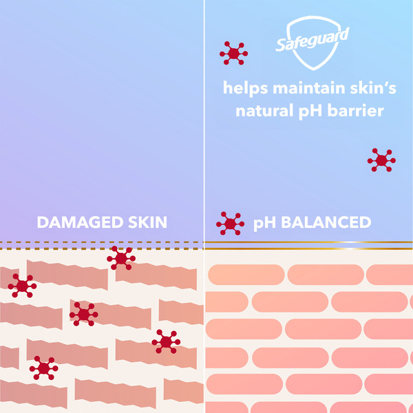 ContentPlus Image 7