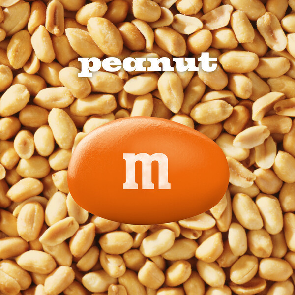 ContentPlus Image 1