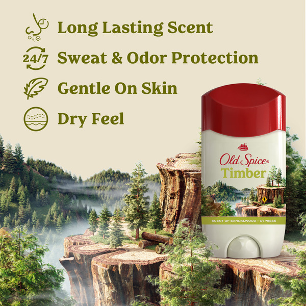 ContentPlus Image 2