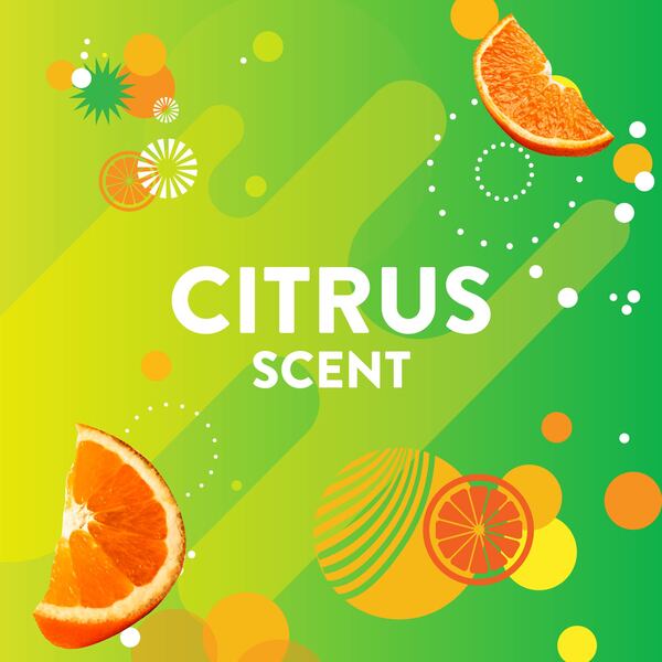 ContentPlus Image 4