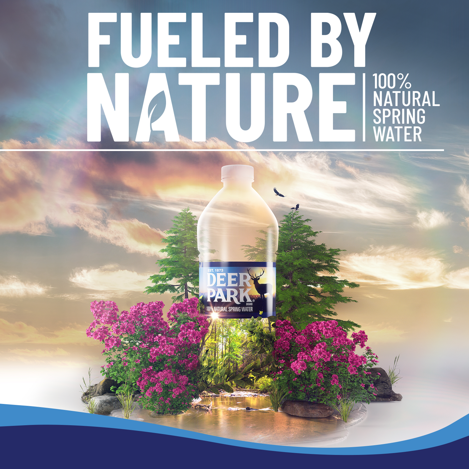 Deer Park 100% Natural Spring Water - 1 gallon | GIANT