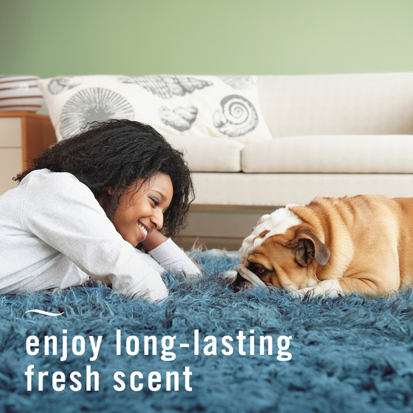 ContentPlus Image 5