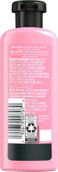 Back of Pack