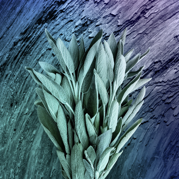 ContentPlus Image 4