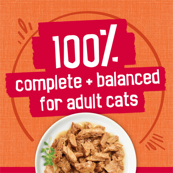 ContentPlus Image 4