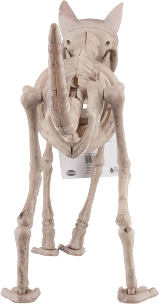 Back of Pack
