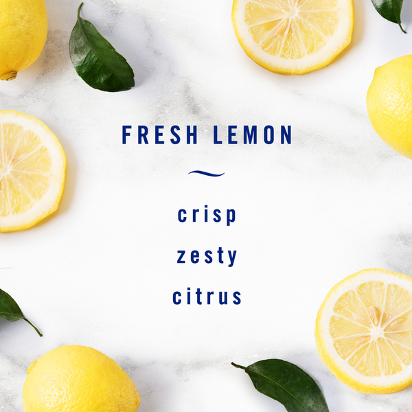 Febreze Small Spaces Heavy Duty Fresh Lemon Air Freshener - 2 ct