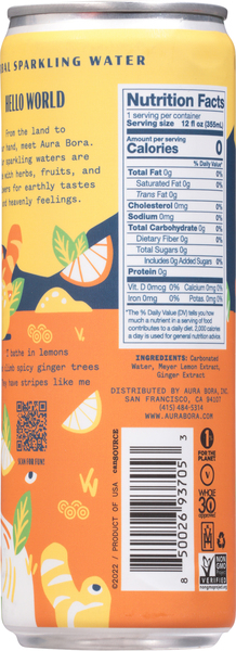 Back of Pack
