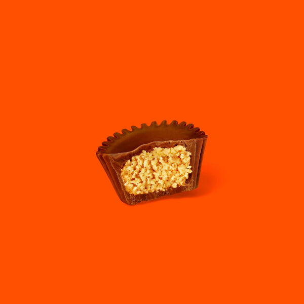 ContentPlus Image 1
