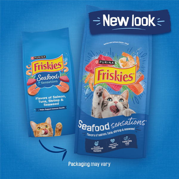 ContentPlus Image 2
