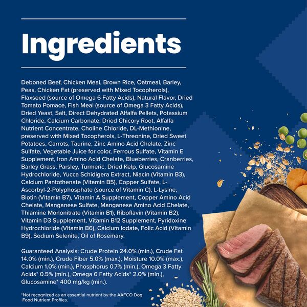 ContentPlus Image 4