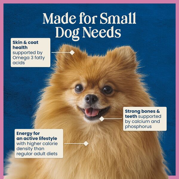 ContentPlus Image 6