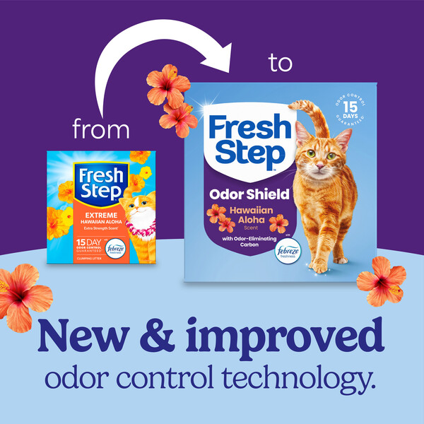 ContentPlus Image 1