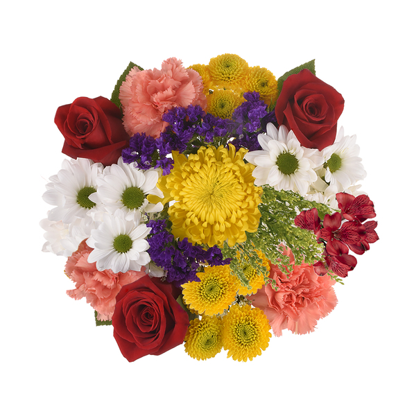ContentPlus Image 1