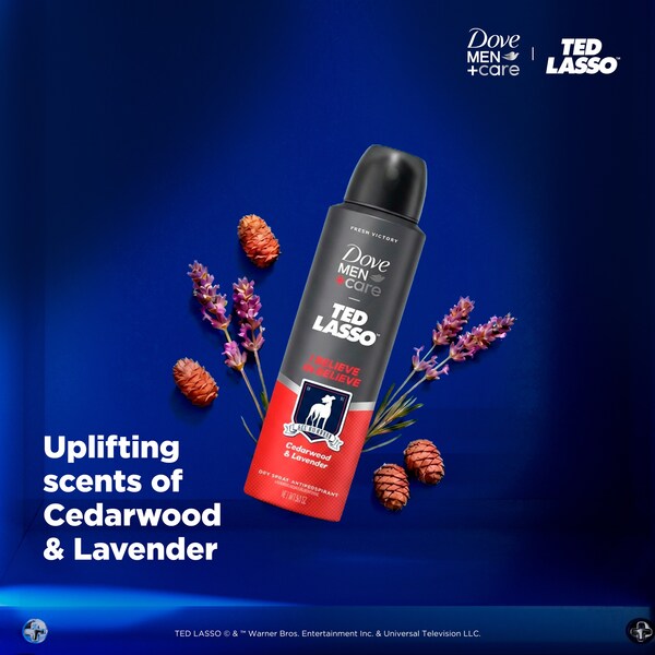 ContentPlus Image 2