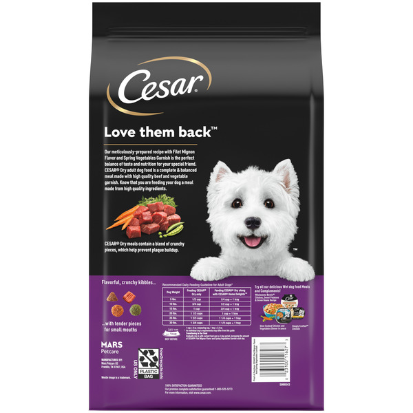 CESAR Filet Mignon Flavor Spring Vegetables Small Breed Dry Dog Food 5 lb bag Stop Shop