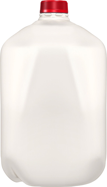 Back of Pack