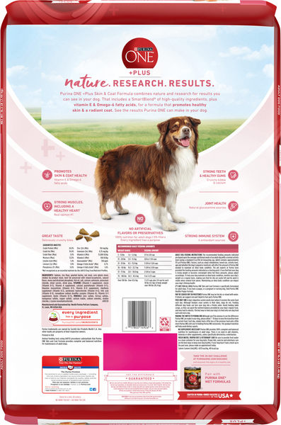 Purina ONE Plus Skin Coat Natural Salmon Adult Dry Dog Food 16.5 lb bag Food Lion
