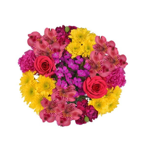 ContentPlus Image 3