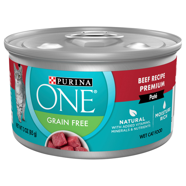 Purina one wet dog food on sale