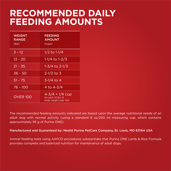 ContentPlus Image 4
