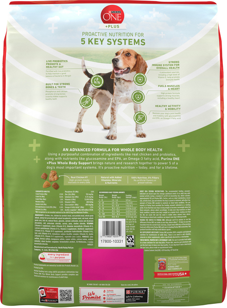 Back of Pack