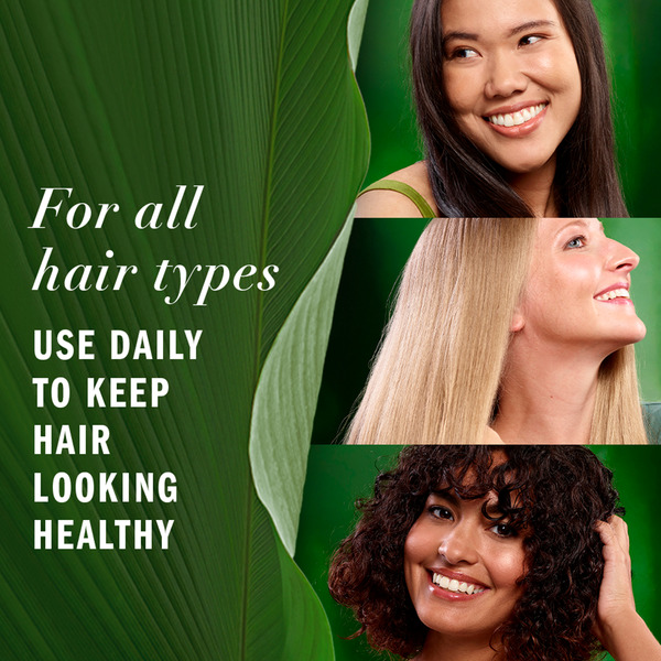ContentPlus Image 6