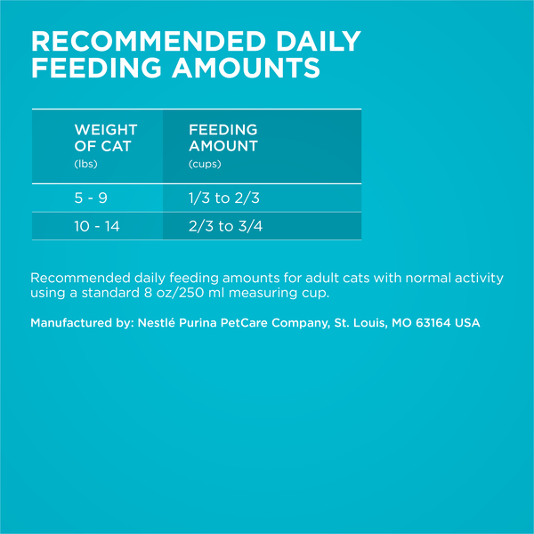 ContentPlus Image 6