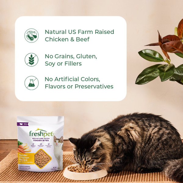 Freshpet Select Tender Bites Chicken Recipe Refrigerated Cat Food 16 oz bag Food Lion