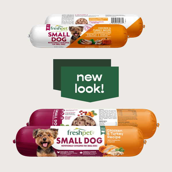 Freshpet Small Dog Chicken Turkey Recipe Refrigerated Dog Food 16 oz pkg GIANT