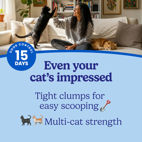 ContentPlus Image 2