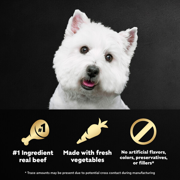 ContentPlus Image 1