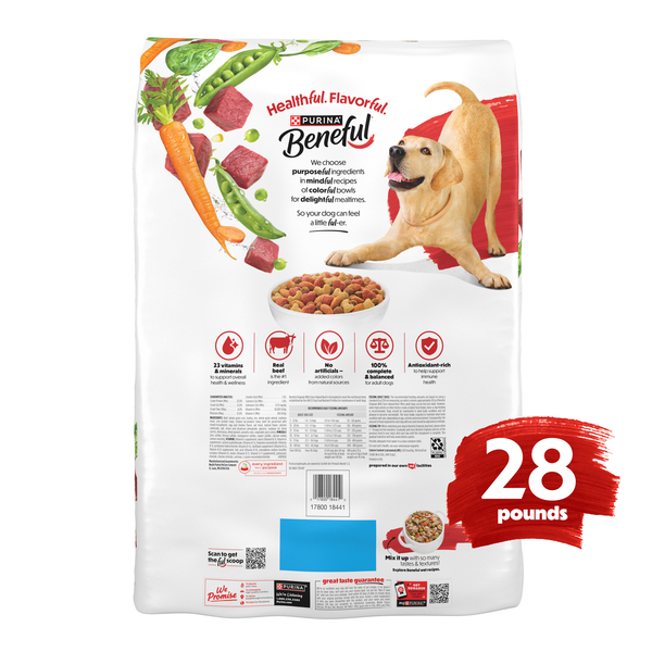 ContentPlus Image 7